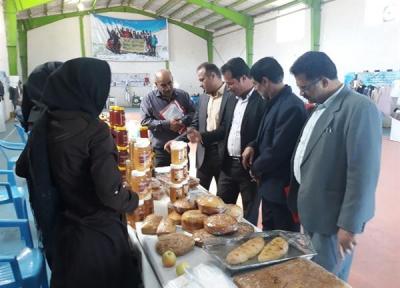 برگزاری نمایشگاهی از توانمندی های گردشگری و صنایع دستی در گلمکان خراسان رضوی