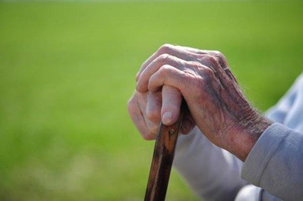 جزئیات طرح نظام ارجاع داخلی برای بیماری های مزمن سالمندان جزئیات طرح نظام ارجاع داخلی برای بیماری های مزمن سالمندان