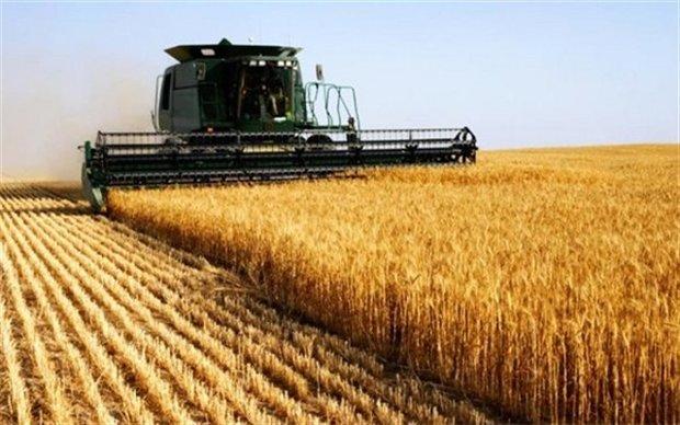 1600 هکتار از اراضی اشتهارد زیر کشت پاییزه می رود
