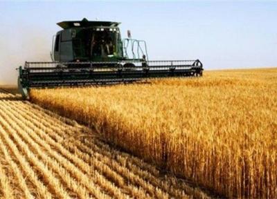 1600 هکتار از اراضی اشتهارد زیر کشت پاییزه می رود