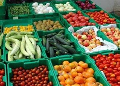 اشتغالزایی برای دانشجویان زیست فناوری به یاری شبکه محصول سالم