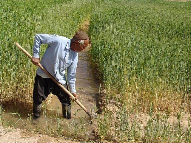تغییر الگوی کشت از دیم به آبی در حوضه آبریز دریاچه ارومیه تغییر الگوی کشت از دیم به آبی در حوضه آبریز دریاچه ارومیه