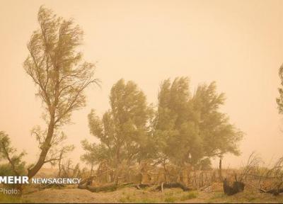 سرعت وزش باد در زاهدان به بیش از 60 کیلومتر بر ساعت می رسد