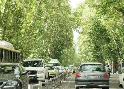 درختان عامل تشدید آلودگی هوا در محیط های شهری