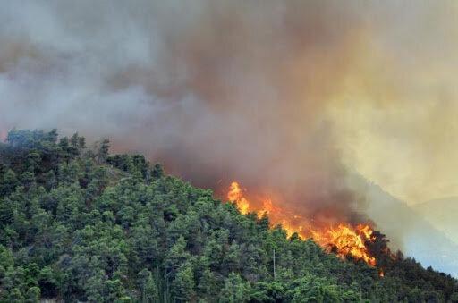 جنگل های هیرکانی در آتش سوخت ، 9 نقطه خاکستر شدند