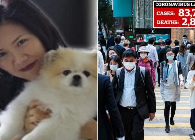 خبرنگاران اولین مورد انتقال کرونا از انسان به حیوان در هنگ کنگ ثبت شد