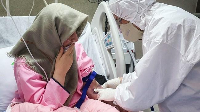 مقدمات تولید پادتن کرونا در کشور فراهم شد مقدمات فراوری پادتن کرونا در کشور فراهم شد