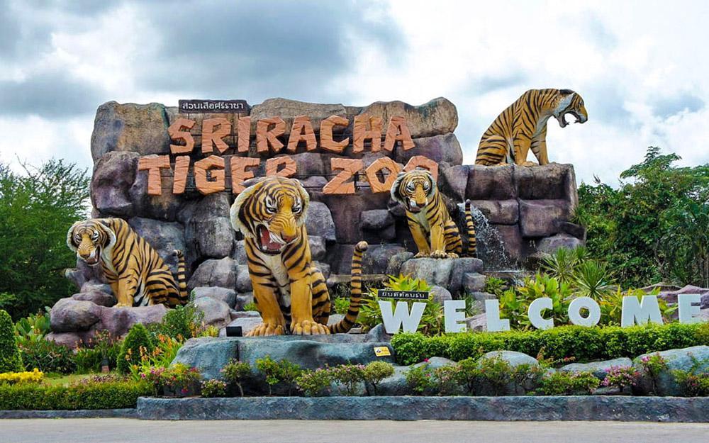 باغ وحش سریراچا پاتایا (تایلند)