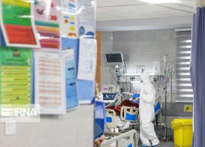 خبرنگاران 20 درصد بیماران کرونای کرمانشاه در بخش مراقبت های ویژه بستری هستند