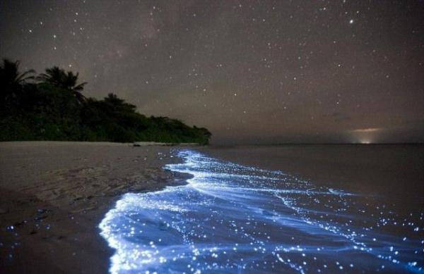 موجهای درخشان آبی رنگ در شبهای سواحل Vaadhoo مالدیو