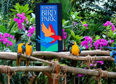 باغ پرندگان جورونگ (سنگاپور)