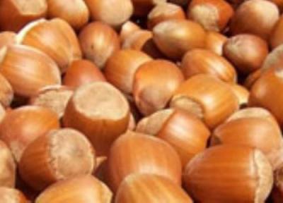 فندق برای بیماران دیابتی