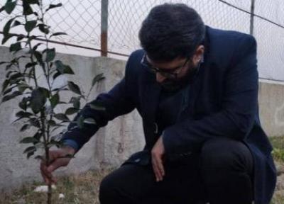 کاشت 2000 اصله نهال در محورهای مواصلاتی شهرستان جویبار