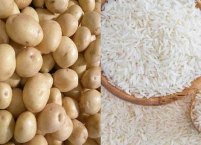 عوارض صادرات سیب زمینی تغییر می نماید، حل معضل بازار برنج تا هفته آینده