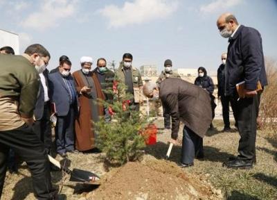 آئین نکوداشت هفته منابع طبیعی و روز درختکاری در دانشگاه تبریز برگزار گردید