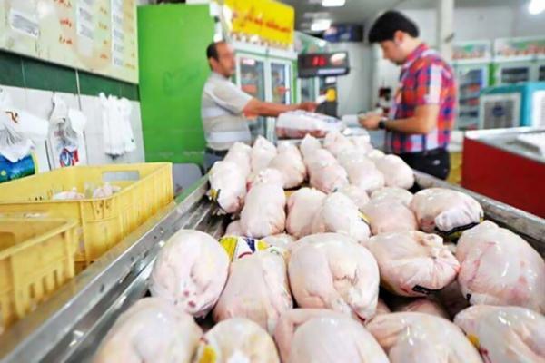 جدیدترین قیمت مرغ در بازار ، هر کیلو مرغ کامل تازه چند؟