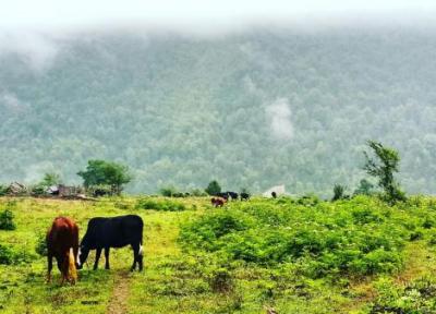 روستای لاویج ، ییلاقی سرسبز و دیدنی در مازندران Lavij