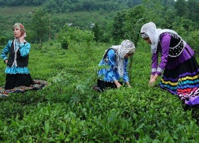 زیباترین روستاهای اطراف لاهیجان
