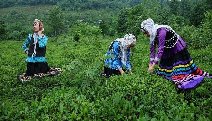 زیباترین روستاهای اطراف لاهیجان زیباترین روستاهای اطراف لاهیجان