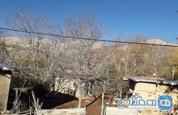 روستای پشت چنار یکی از روستاهای دیدنی کهگیلویه و بویراحمد به شمار می رود
