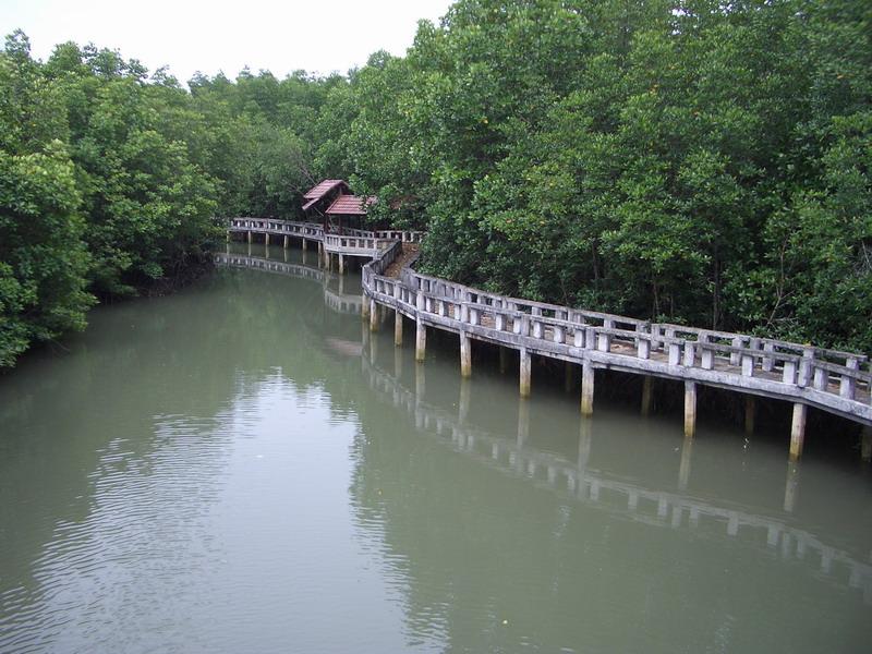 The Mangrove, Koh Chang هتل مانگرو، کوه چانگ